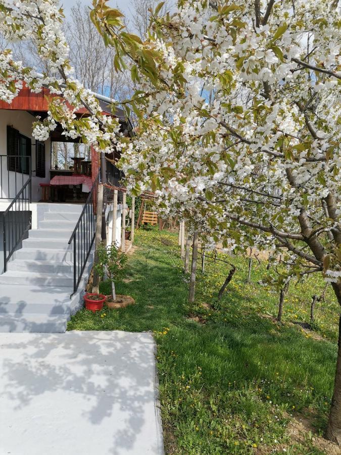 Villa Marijana Varazdinske Toplice Buitenkant foto