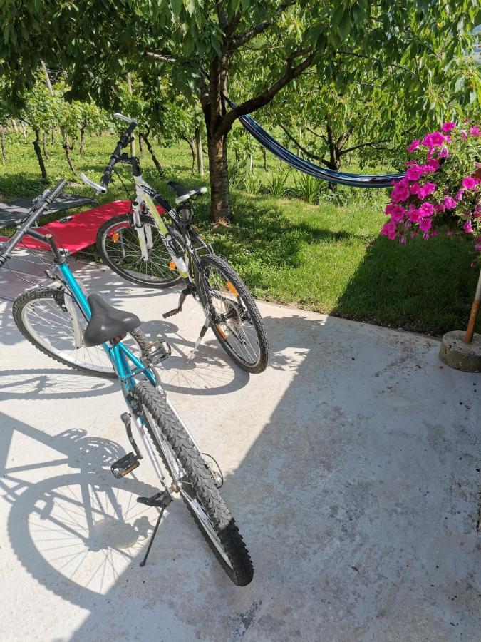 Villa Marijana Varazdinske Toplice Buitenkant foto