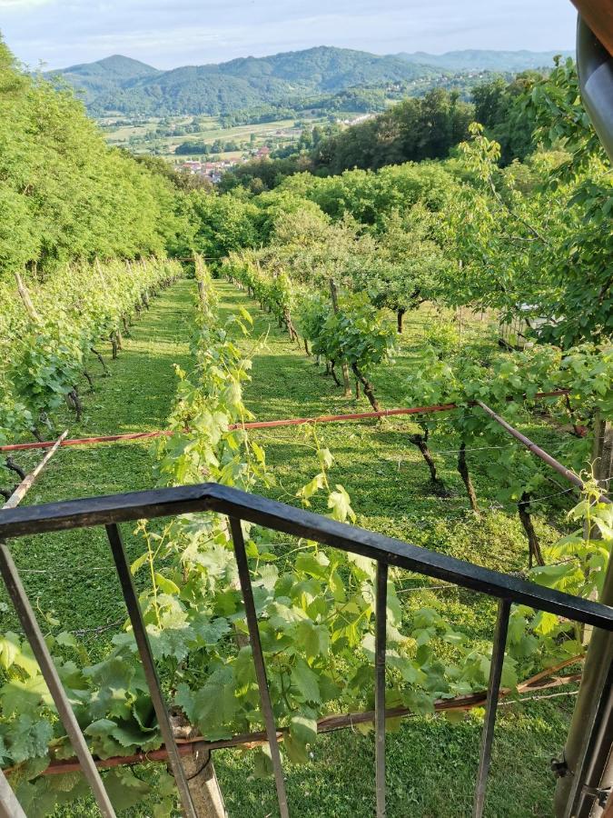 Villa Marijana Varazdinske Toplice Buitenkant foto