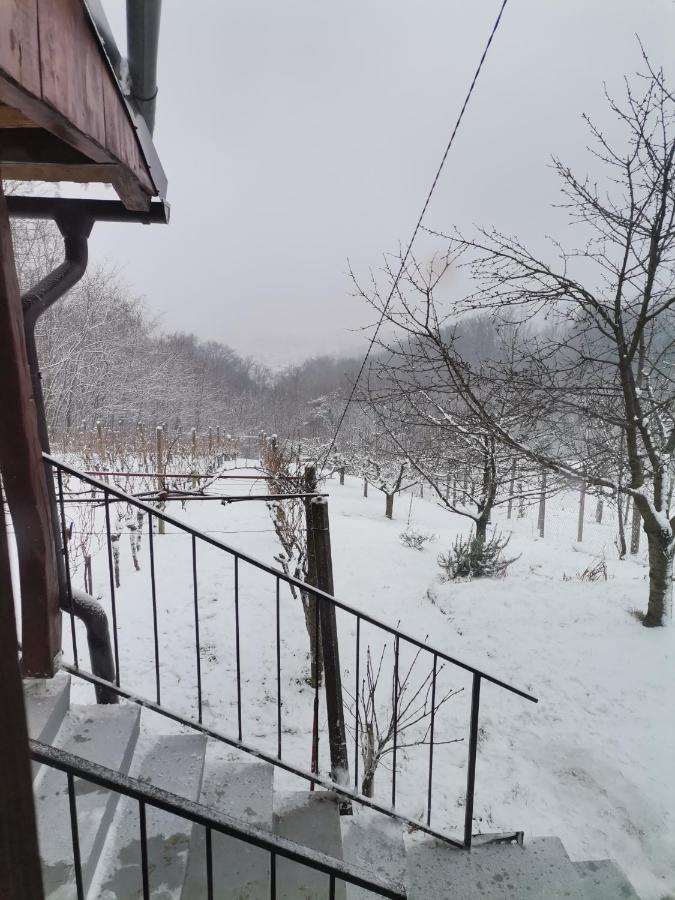 Villa Marijana Varazdinske Toplice Buitenkant foto