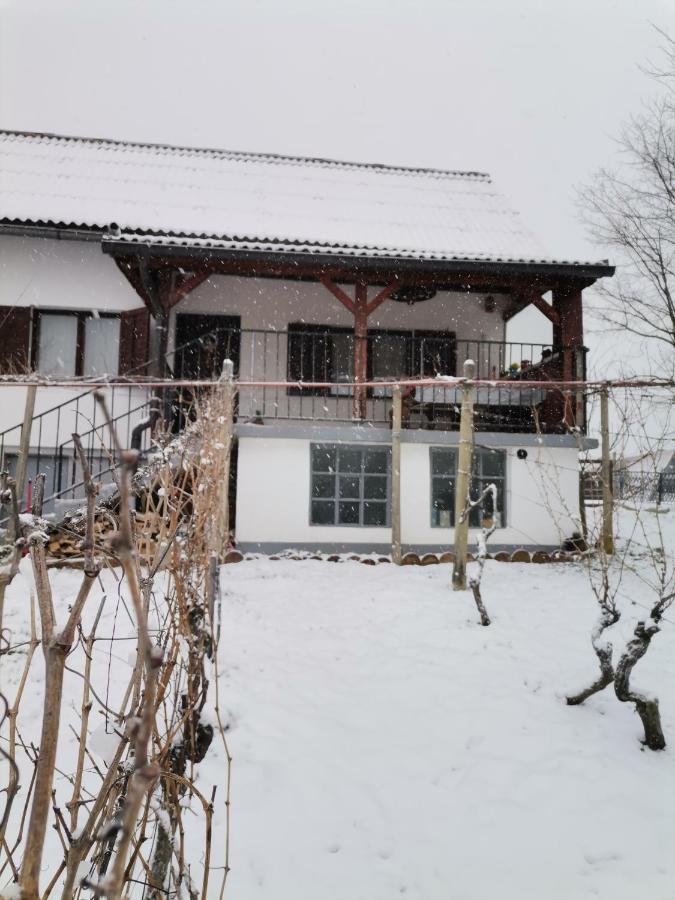 Villa Marijana Varazdinske Toplice Buitenkant foto
